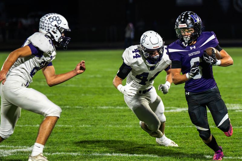 Manteno Panthers, photo 7 of 30
